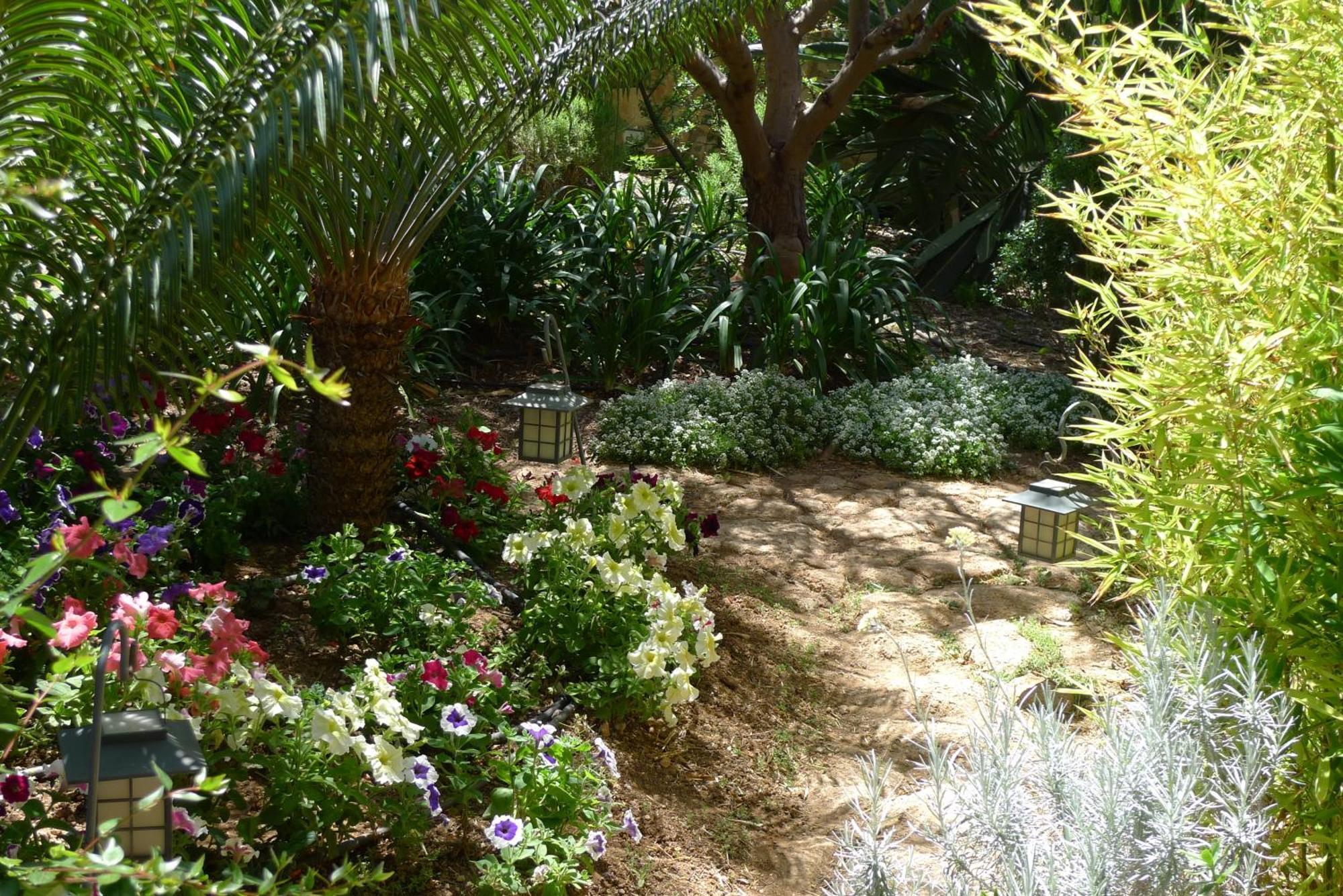 סן מיגל דה אבונה Hotel Rural San Miguel - Only Adults מראה חיצוני תמונה